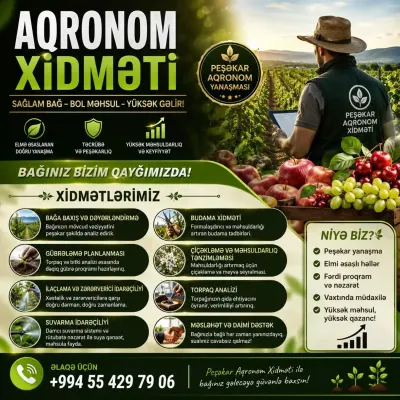 Aqronom xidməti — Kənd/Təs Xidmətləri, Xaçmaz