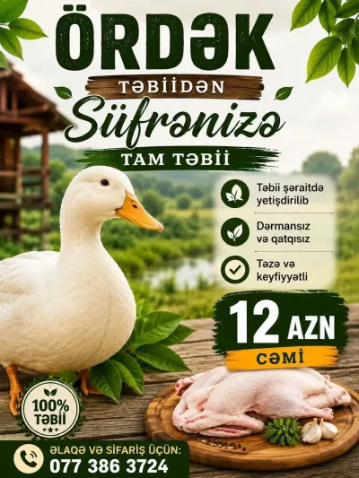 Ördək əti — Heyvanlar, Quşlar, Balıqlar, Bakı