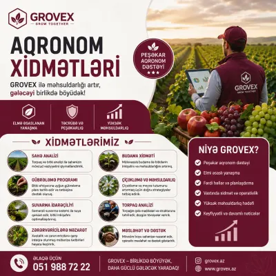 Grovex elanı