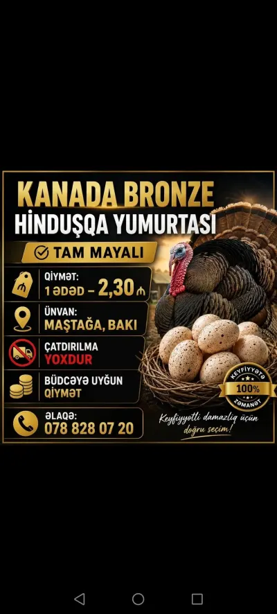 Mayalı yumurta — Heyvanlar, Quşlar, Balıqlar, Bakı