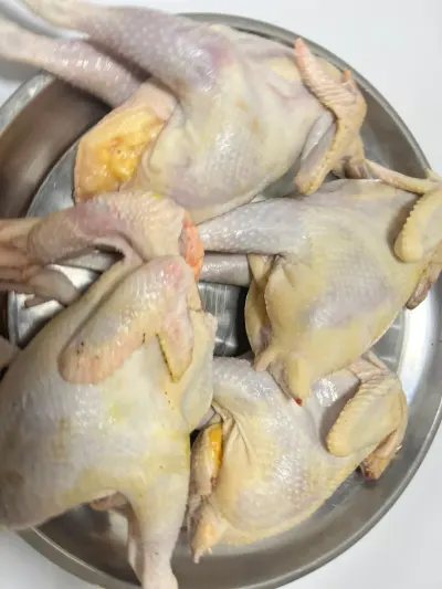 TOYUQ ƏTİ — Heyvanlar, Quşlar, Balıqlar, Bakı