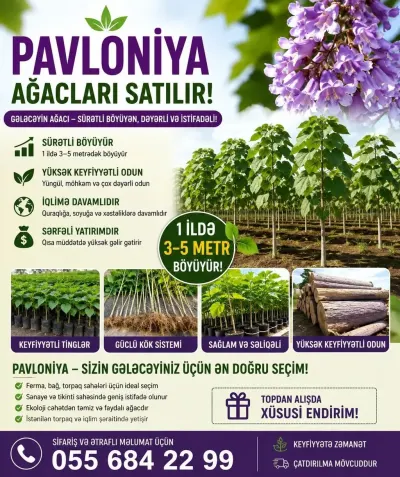 Toxum — Dənlilər, Otlar Yemlər,  Bitkilər, Bakı