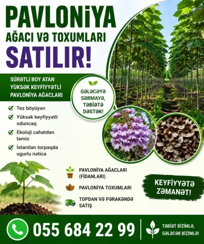 Toxum — Dənlilər, Otlar Yemlər,  Bitkilər, Bakı — şəkil 2