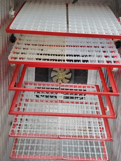 INKUBATOR — K/T texnikası və ehtiyyat hissə, Bakı — şəkil 3