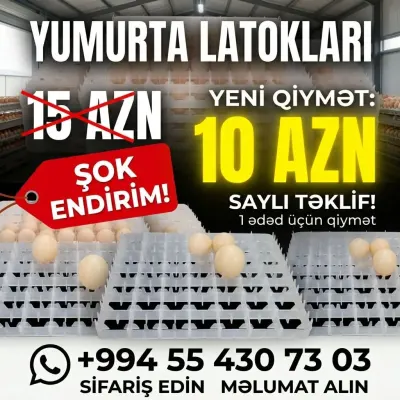 yumurta lotoku — Kənd Təsərrüfatı Ləvazimatı, Bakı