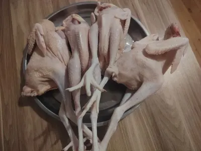 TOYUQ ƏTİ — Heyvanlar, Quşlar, Balıqlar, Bakı