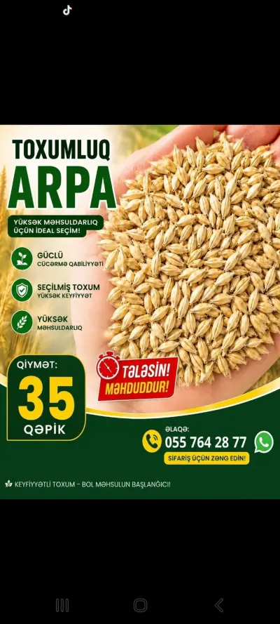 ARPA — Dənlilər, Otlar Yemlər,  Bitkilər, Bakı