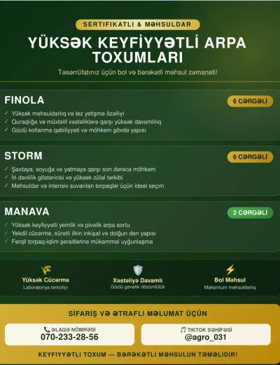 ARPA — Dənlilər, Otlar Yemlər,  Bitkilər, İsmayıllı — şəkil 2
