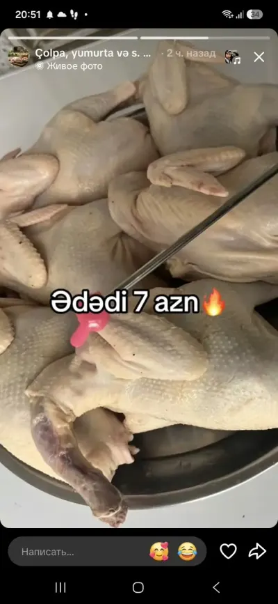 Ördək əti — Heyvanlar, Quşlar, Balıqlar, Bakı — şəkil 3