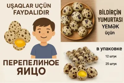 BiLDİRÇİN YUMURTASI — Heyvanlar, Quşlar, Balıqlar, Bakı — şəkil 7