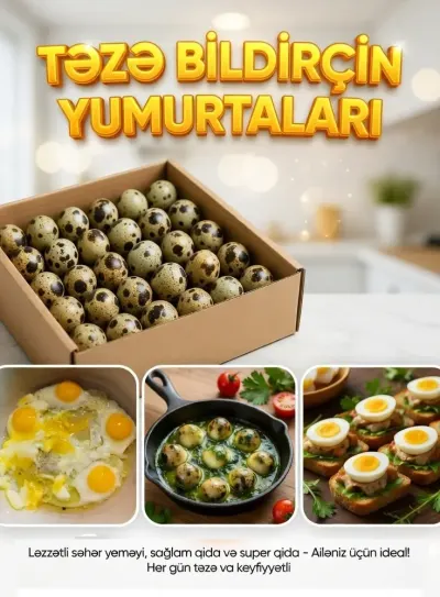 BiLDİRÇİN YUMURTASI — Heyvanlar, Quşlar, Balıqlar, Bakı — şəkil 5