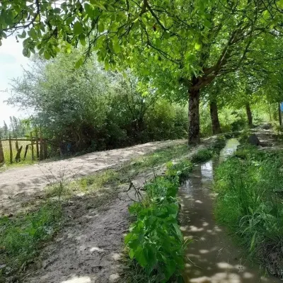 MEYVƏ BAĞI — Kənd Təsərrüfatı Əmlakı, Qusar — şəkil 5