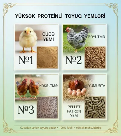 YEM — Dənlilər, Otlar Yemlər,  Bitkilər, Bakı