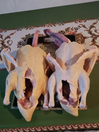 ÖRDƏK — Heyvanlar, Quşlar, Balıqlar, Lənkəran — şəkil 3