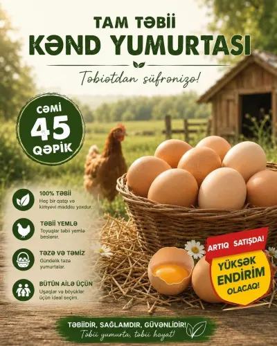 Yumurta — Heyvanlar, Quşlar, Balıqlar, Bakı