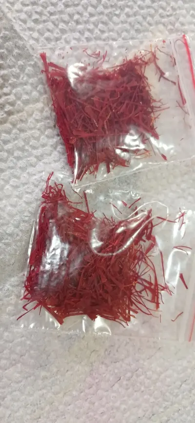 Zəfəran — Dənlilər, Otlar Yemlər,  Bitkilər, Bakı