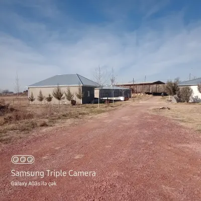 FERMA SATILIR — Kənd Təsərrüfatı Əmlakı, Salyan — şəkil 5