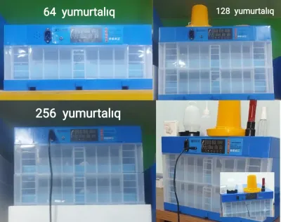 INKUBATOR — Heyvanlar, Quşlar, Balıqlar, Bakı — şəkil 4