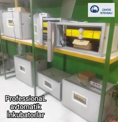 INKUBATOR — Heyvanlar, Quşlar, Balıqlar, Bakı — şəkil 5