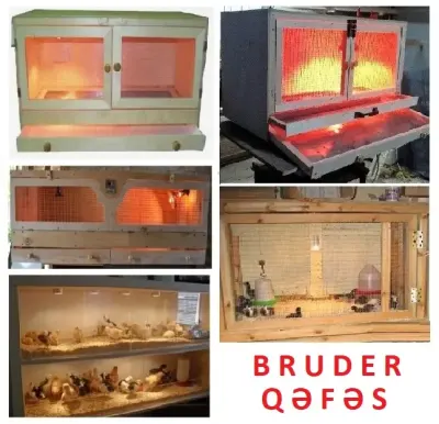 QƏFƏS — Kənd Təsərrüfatı Ləvazimatı, Bakı — şəkil 5