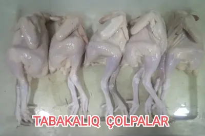 TOYUQ ƏTİ — Heyvanlar, Quşlar, Balıqlar, Bakı — şəkil 6