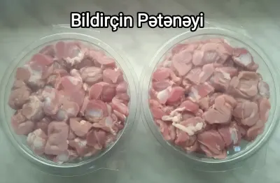 BiLDİRÇİN — Heyvanlar, Quşlar, Balıqlar, Bakı — şəkil 10