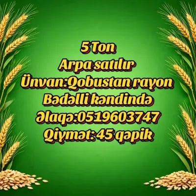 ARPA — Dənlilər, Otlar Yemlər,  Bitkilər, Qobustan