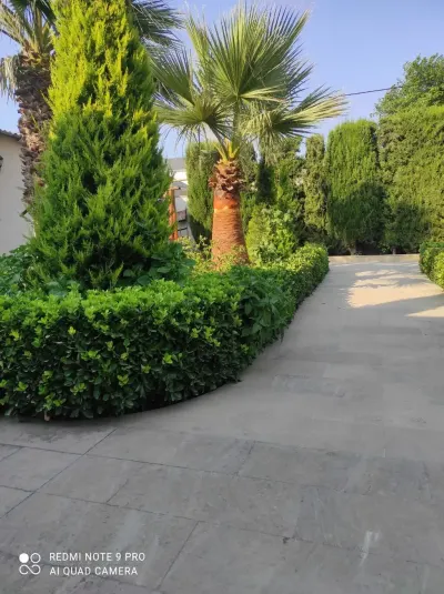 Bağban xidməti — Kənd/Təs Xidmətləri, Bakı — şəkil 2