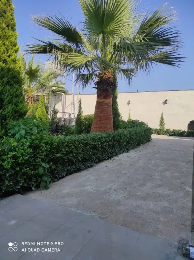Bağban xidməti — Kənd/Təs Xidmətləri, Bakı