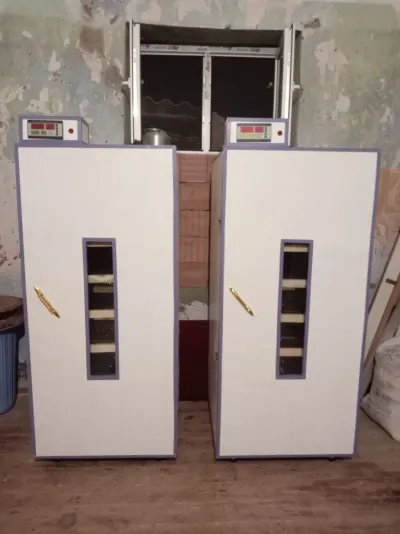 INKUBATOR — K/T texnikası və ehtiyyat hissə, Salyan