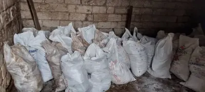 Peyin — Gübrələr, Pestisidlər və Dərmanlar, Bakı