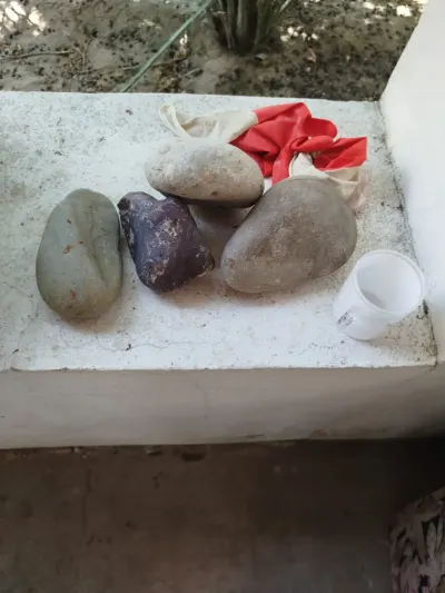 Zəfəran — Dənlilər, Otlar Yemlər,  Bitkilər, Bakı — şəkil 4