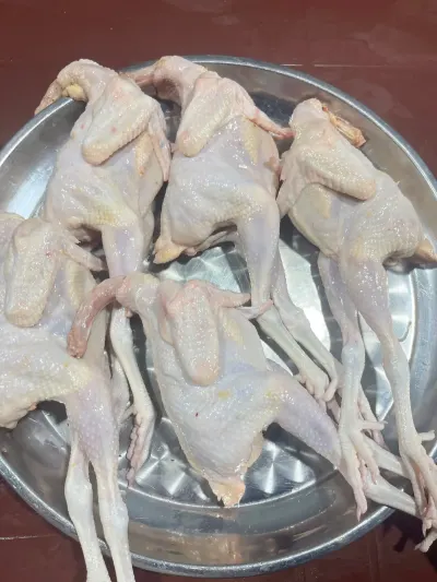 Toyuq əti — Heyvanlar, Quşlar, Balıqlar, Bakı — şəkil 2