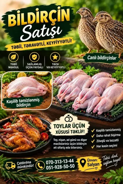 Bildirçin — Heyvanlar, Quşlar, Balıqlar, Bakı