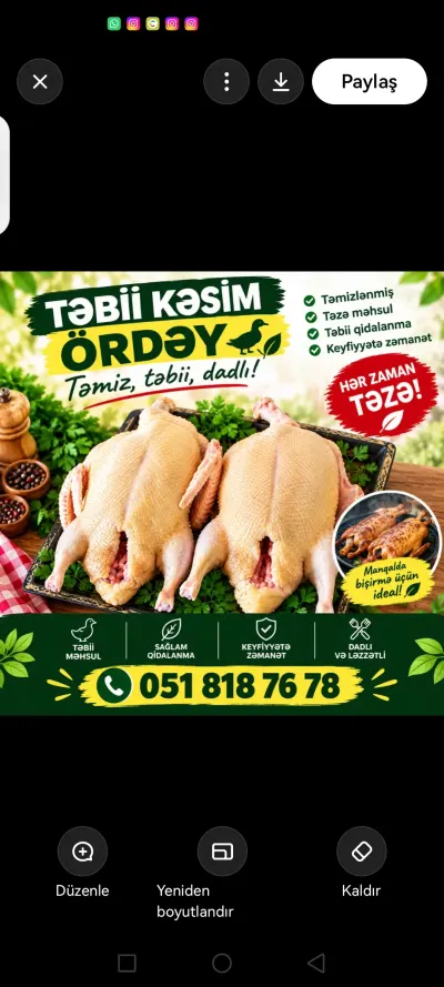 Ördək əti — Heyvanlar, Quşlar, Balıqlar, Lənkəran