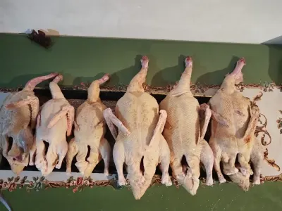 Ördək əti — Heyvanlar, Quşlar, Balıqlar, Lənkəran — şəkil 7