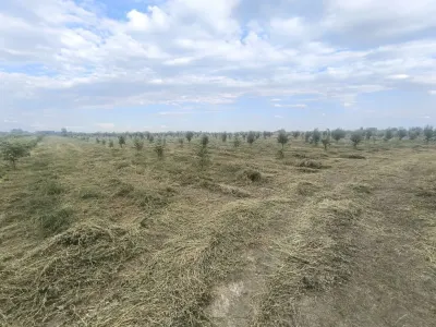 Meyvə bağı — Сельхознедвижимость, Агдаш — şəkil 3