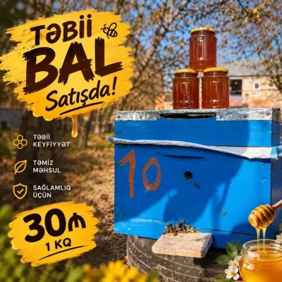 Bal — Emal Olunmuş K/t Məhsulları, Bakı