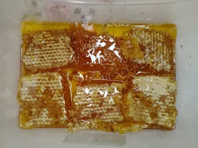 Honey — Processed Agricultural Products, Baku — şəkil 2