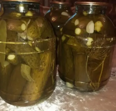 Turşu — Emal Olunmuş K/t Məhsulları, Bakı