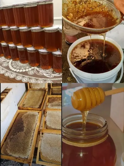 Bal — Emal Olunmuş K/t Məhsulları, Bakı