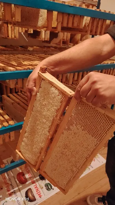 Honey — Processed Agricultural Products, Ganja — şəkil 6