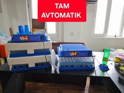 İnkubator — K/T texnikası və ehtiyyat hissə, Bakı