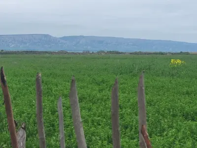 Ferma satılır — Kənd Təsərrüfatı Əmlakı, Göyçay — şəkil 2