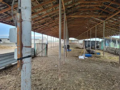 Ferma satılır — Kənd Təsərrüfatı Əmlakı, Göyçay — şəkil 3