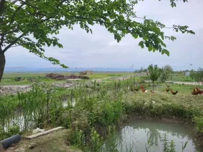 Ferma satılır — Kənd Təsərrüfatı Əmlakı, Göyçay — şəkil 5
