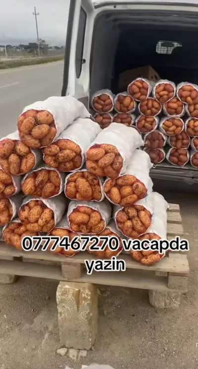 KARTOF — Tərəvəzlər və Göyərtilər, Bakı
