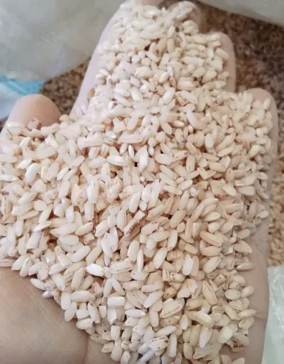 DÜYÜ — Dənlilər, Otlar Yemlər,  Bitkilər, Bakı