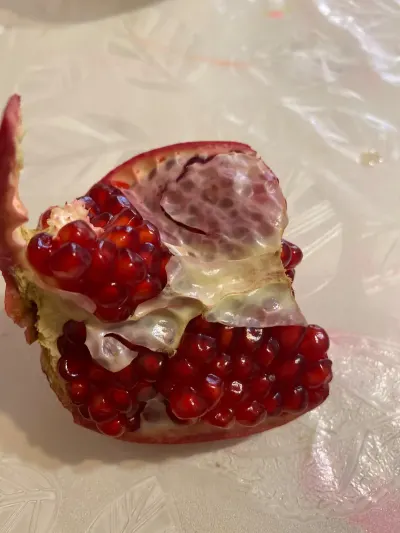 Pomegranate — Fruits and Berries, Sumgayit
