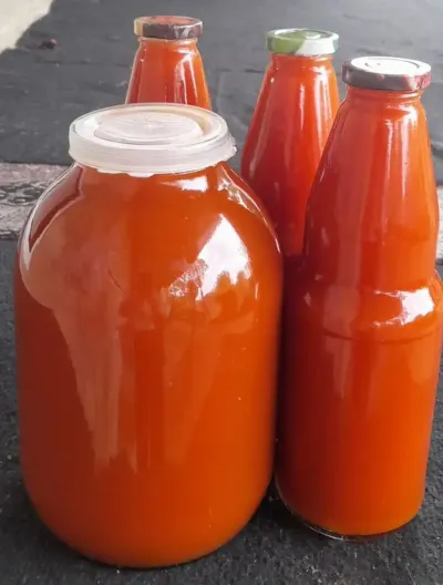 Rosehip — Fruits and Berries, Ganja
